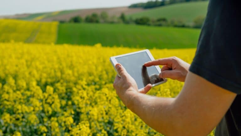 La importancia de monitorear cultivos ante el cambio climático que enfrenta Chile