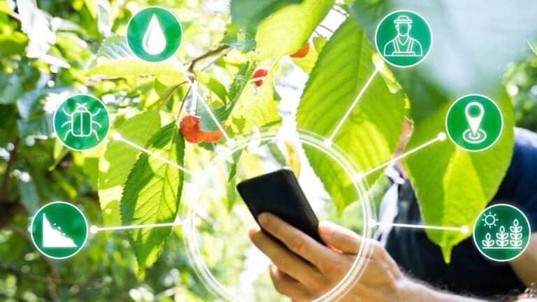 El monitoreo integral es la tendencia al dolor de la multiplicidad de datos que existen en el mundo agrícola