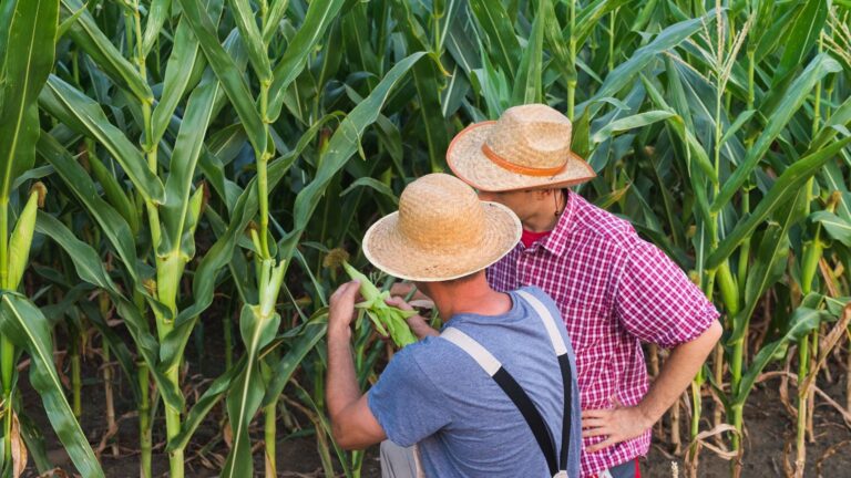 La agricultura necesita tecnología, pero monitoreada