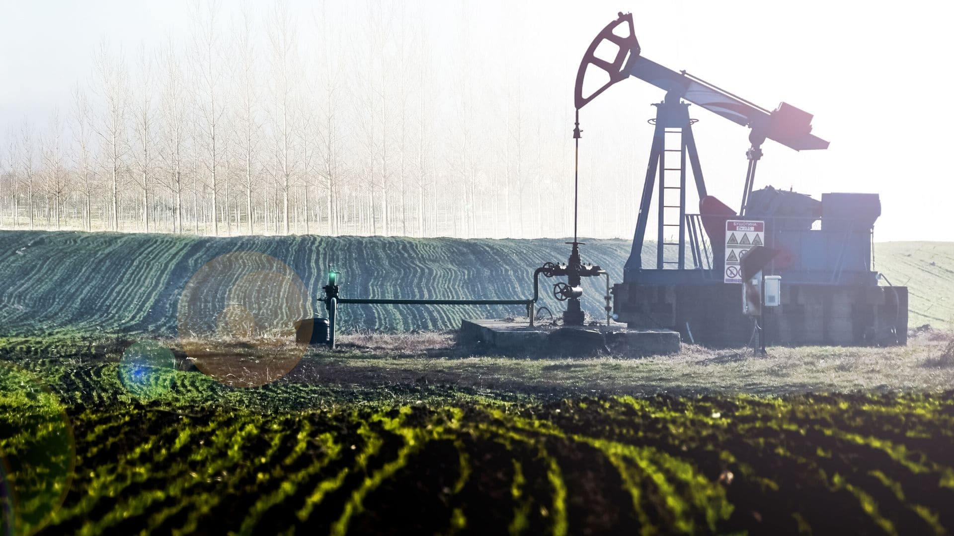 Chile y Perú: la potencia de la agroindustria en el pacífico