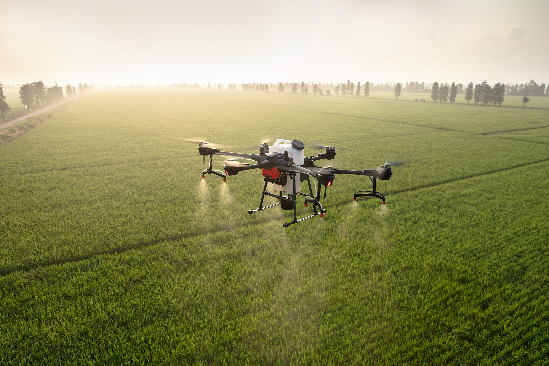 Conoce en qué consiste la agricultura de precisión