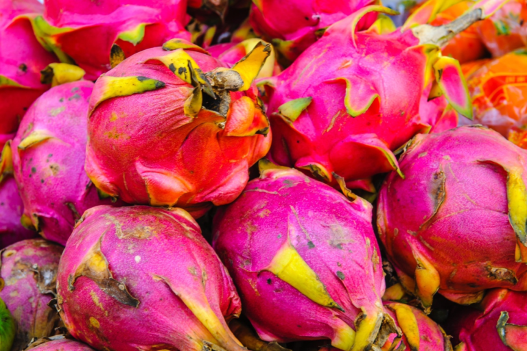 4 consejos para producir la beneficiosa pitahaya o red dragon