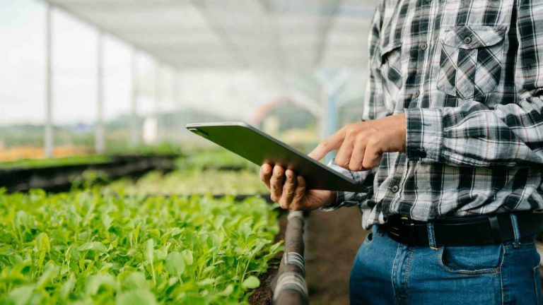 El Cuaderno de Campo: Donde cada día es una página del éxito de tu cultivo