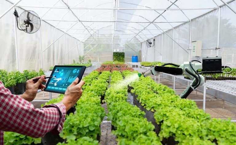 Como enfrentar el desafío de la Transformación Digital en agricultura