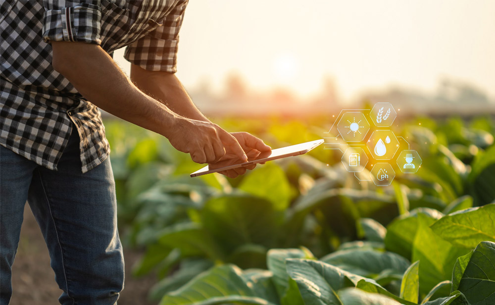 Transformación digital en agricultura con Trackitagro
